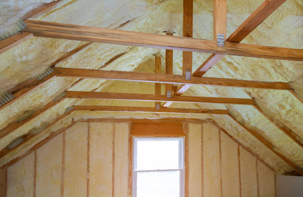 Best Sustainability and Green Building in Belle Haven, VA