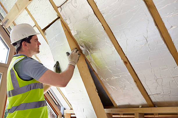 Best Insulation Maintenance and Repair in Belle Haven, VA