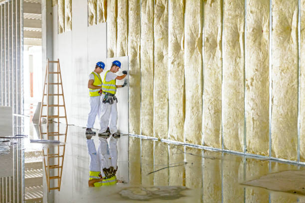 Best Commercial Insulation in Belle Haven, VA